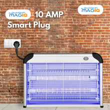 Standard Load (10A) Smart Plug