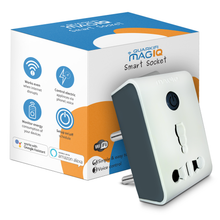 Heavy Load (15A) Smart Plug