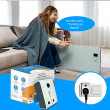 Heavy Load (15A) Smart Plug